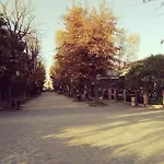 olivolo